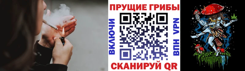 сколько стоит  Курганинск  Галлюциногенные грибы Psilocybine cubensis 